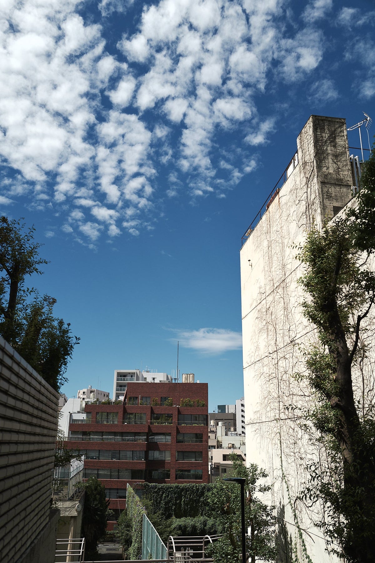 夏季休業のお知らせ