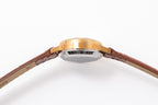 OMEGA Genève Automatic 60's
